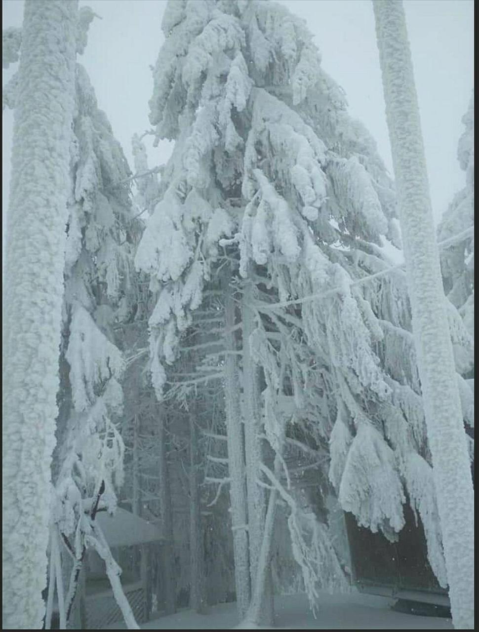 "Різьбярська Садиба" Slavsko Exterior foto