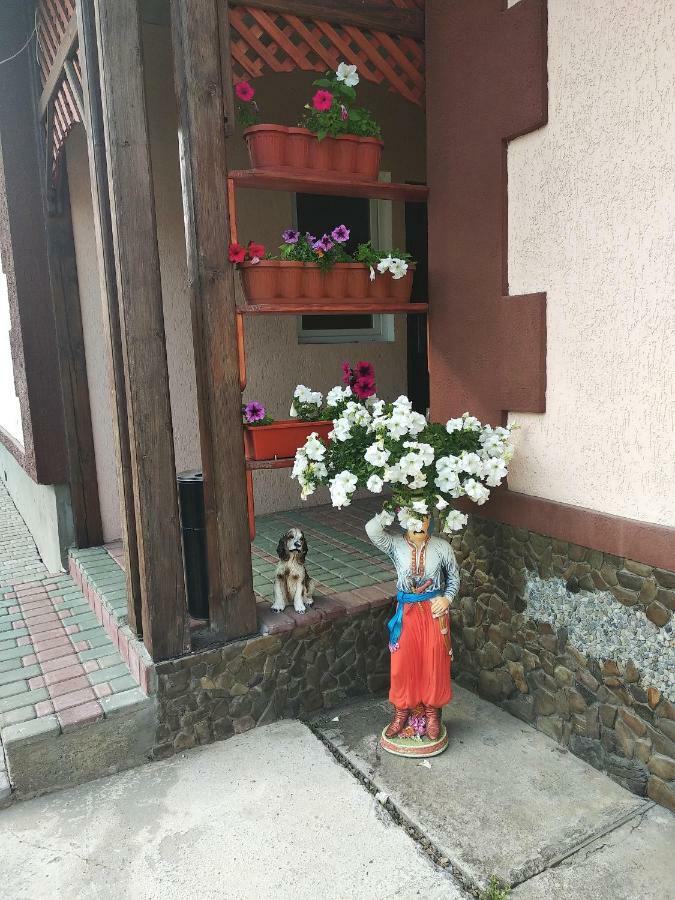 "Різьбярська Садиба" Slavsko Exterior foto