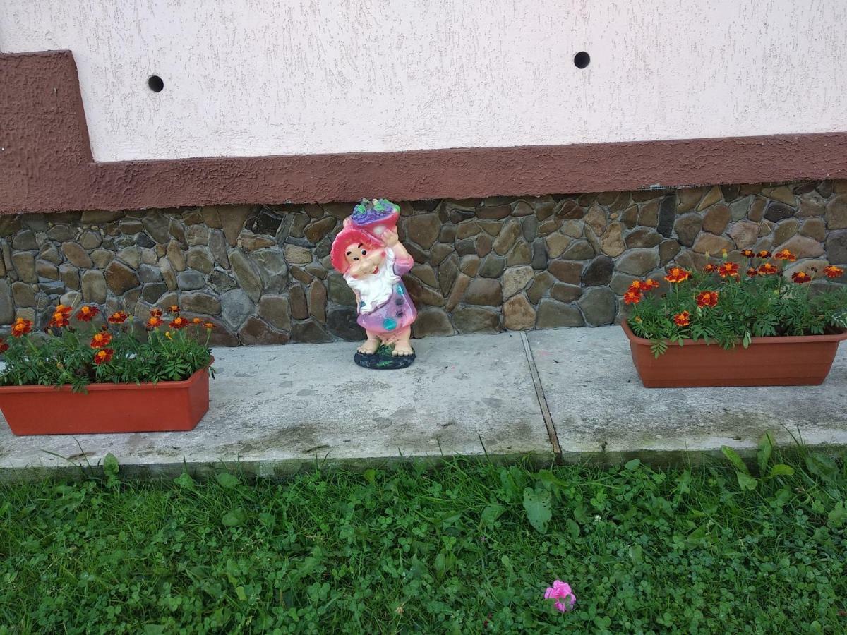"Різьбярська Садиба" Slavsko Exterior foto